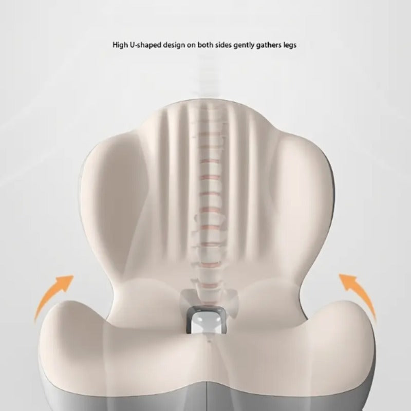Lotarrotta Ergonomic Seat Cushion with Lumbar Support, Multi-Purpose Orthopedic Seat Pillow for Office Chair, Car, Dining Chair, Truck, Back, Hip, Leg Pain